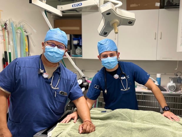 Images VCA McClave Animal Hospital