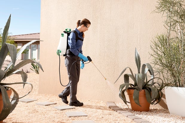 Images Las Vegas Pest Control