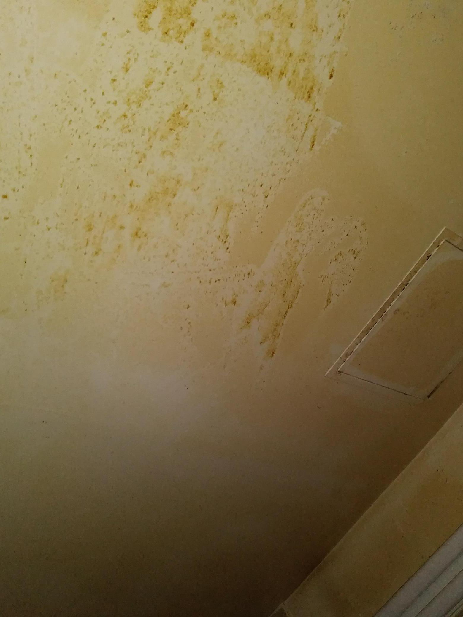 Check out our Water Damage Tips!