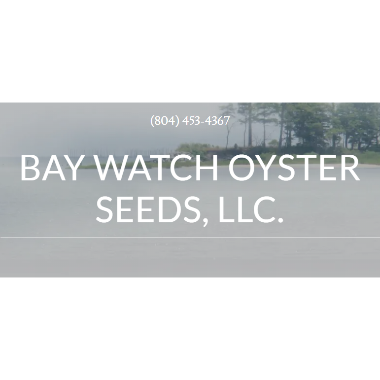 Bay Watch Oyster Seeds, LLC Logo