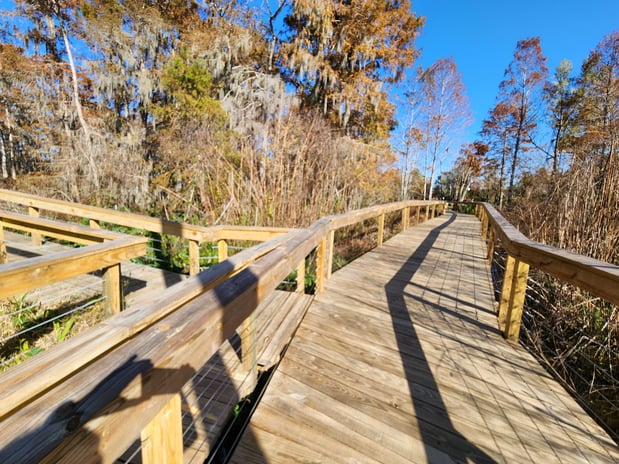 Images Cajun Encounters Tour Company