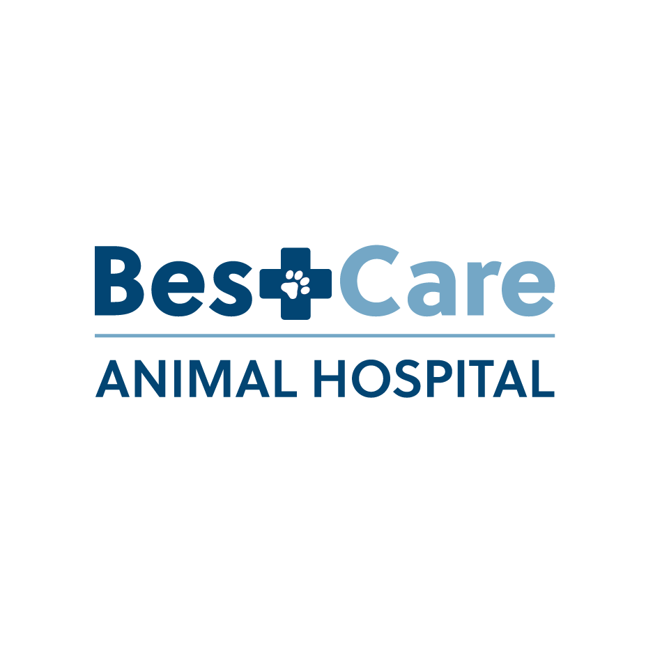 Best Care Animal Hospital