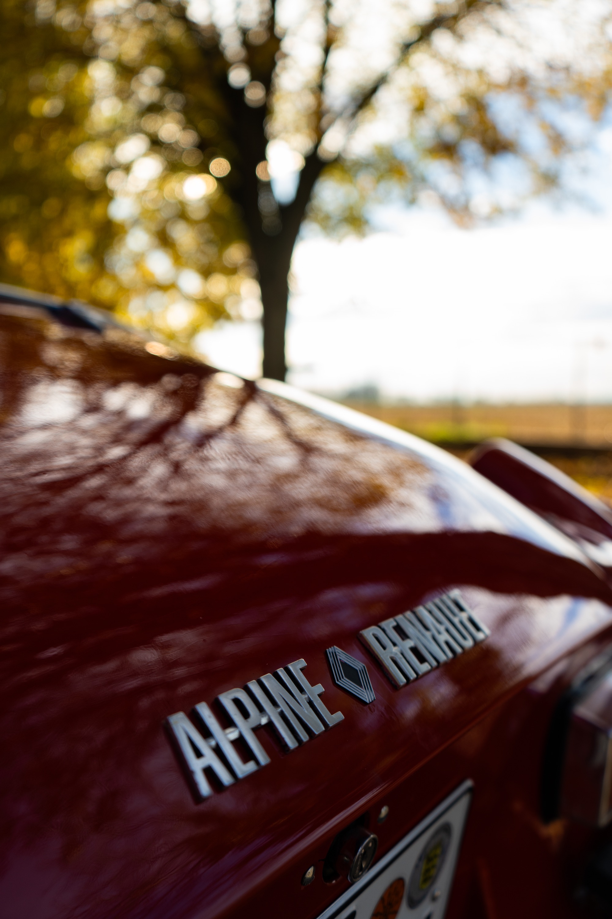 NM Fotografie in Auggen