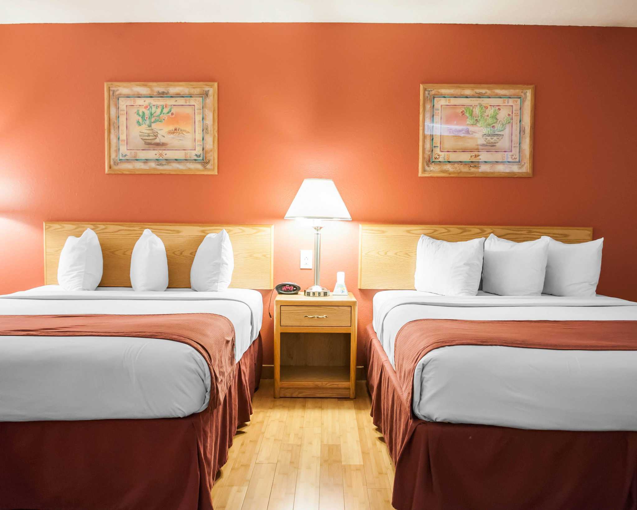 Albuquerque nm coupons