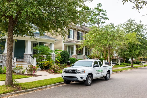 Images Torpedo Mosquito + Gnat of Atlanta