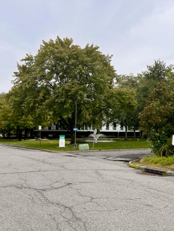 Images Metro Vein Centers | Bloomfield