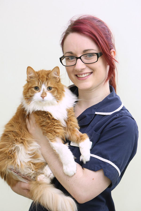 Images Chantry Vets Surgery, Middleton
