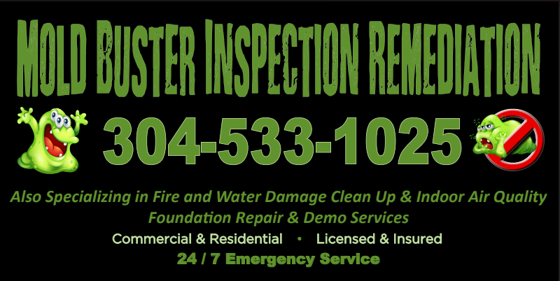 Images Mold Busters Inspection Remediation