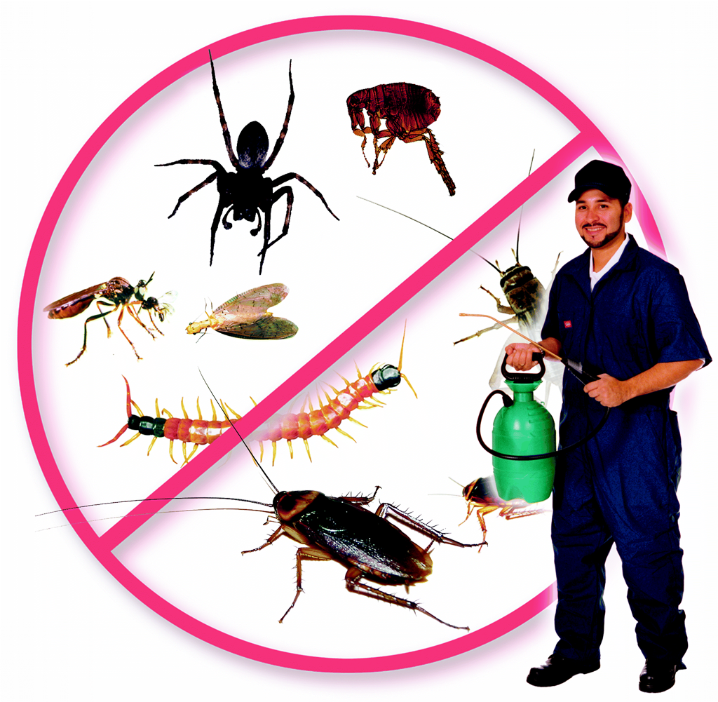 Intex Exterminator Inc.