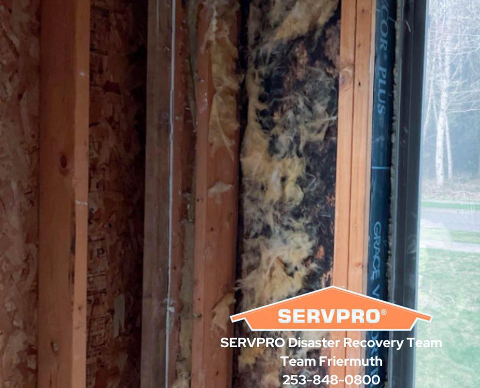You can rely on SERVPRO of Auburn/Enumclaw for all of your mold damage cleanup and remediation needs in Auburn, WA. Give us a call!