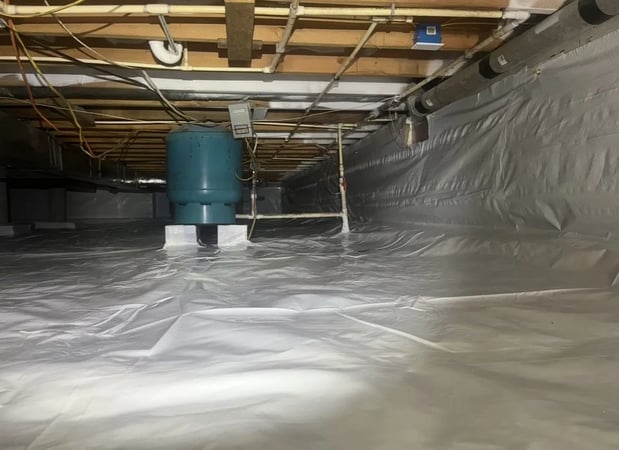 Images Midwest Mold Specialist LLC