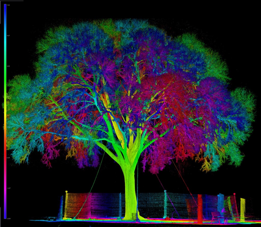Images Sdl Investigacion Y Divulgacion Del Medio Ambiente S.L.