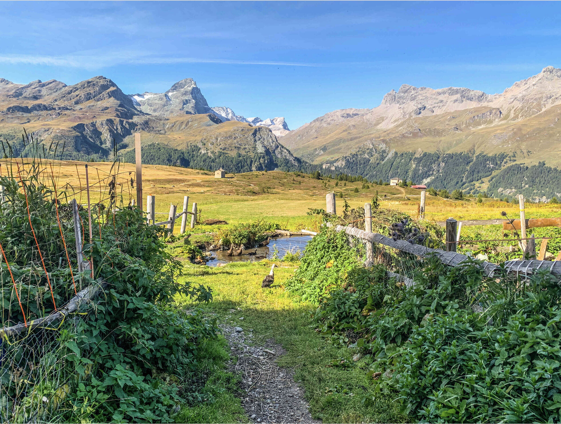 Bilder Ferien in Bivio