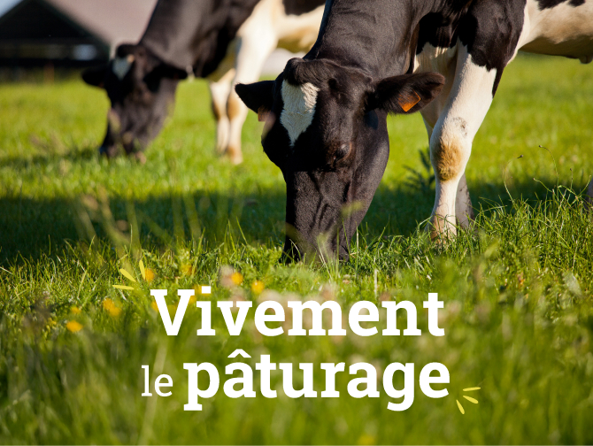 Vivement le pâturage