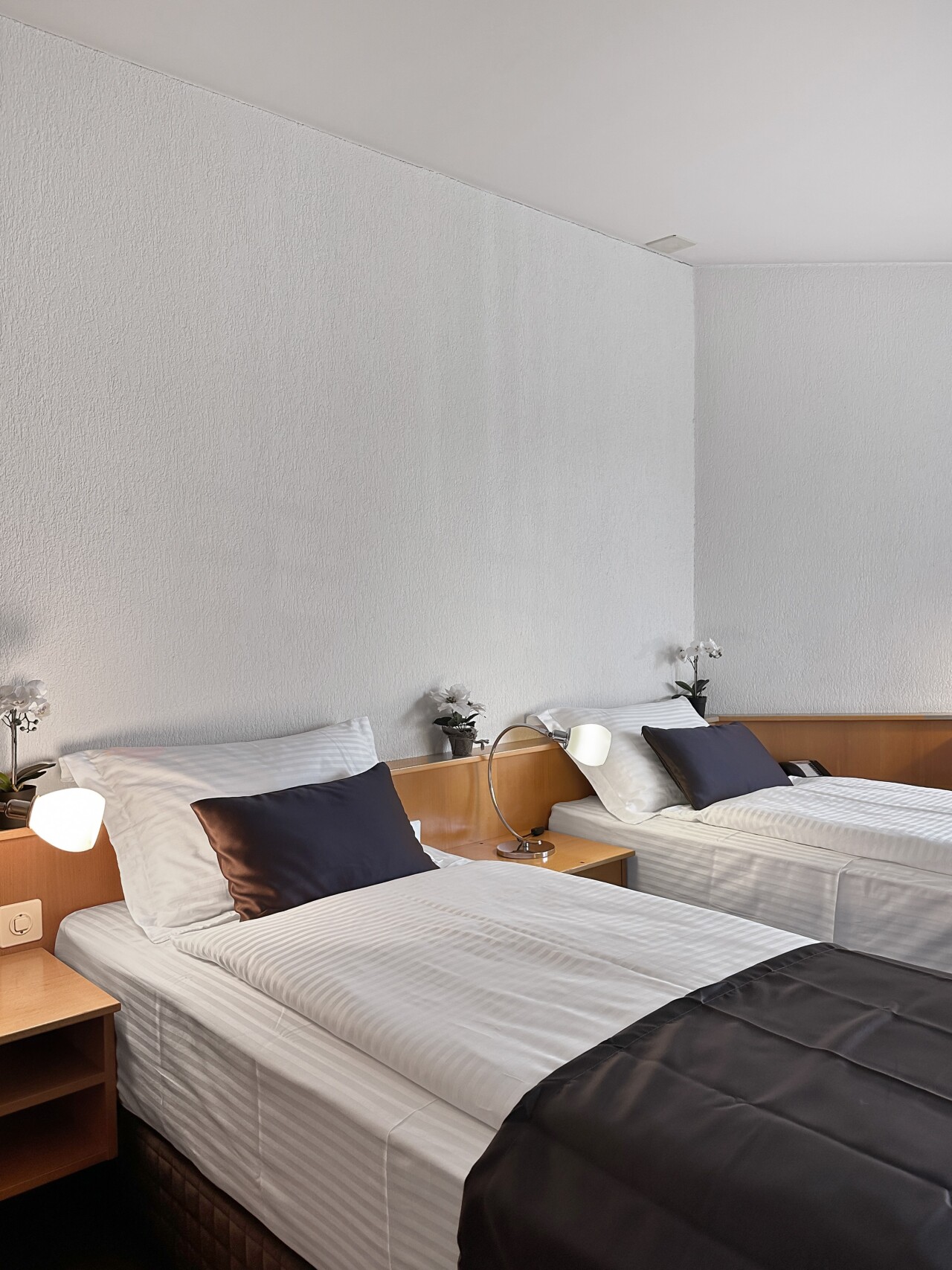 Bilder Centra Hotel Zurich