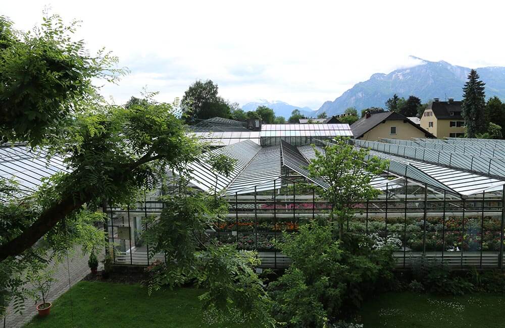 Bild 1 von Gärtnerei Zmugg KG - Blumen & Pflanzen aus Salzburg