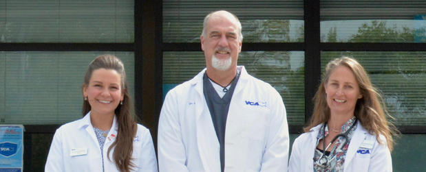 Images VCA Mountainview Animal Hospital & Pet Lodge