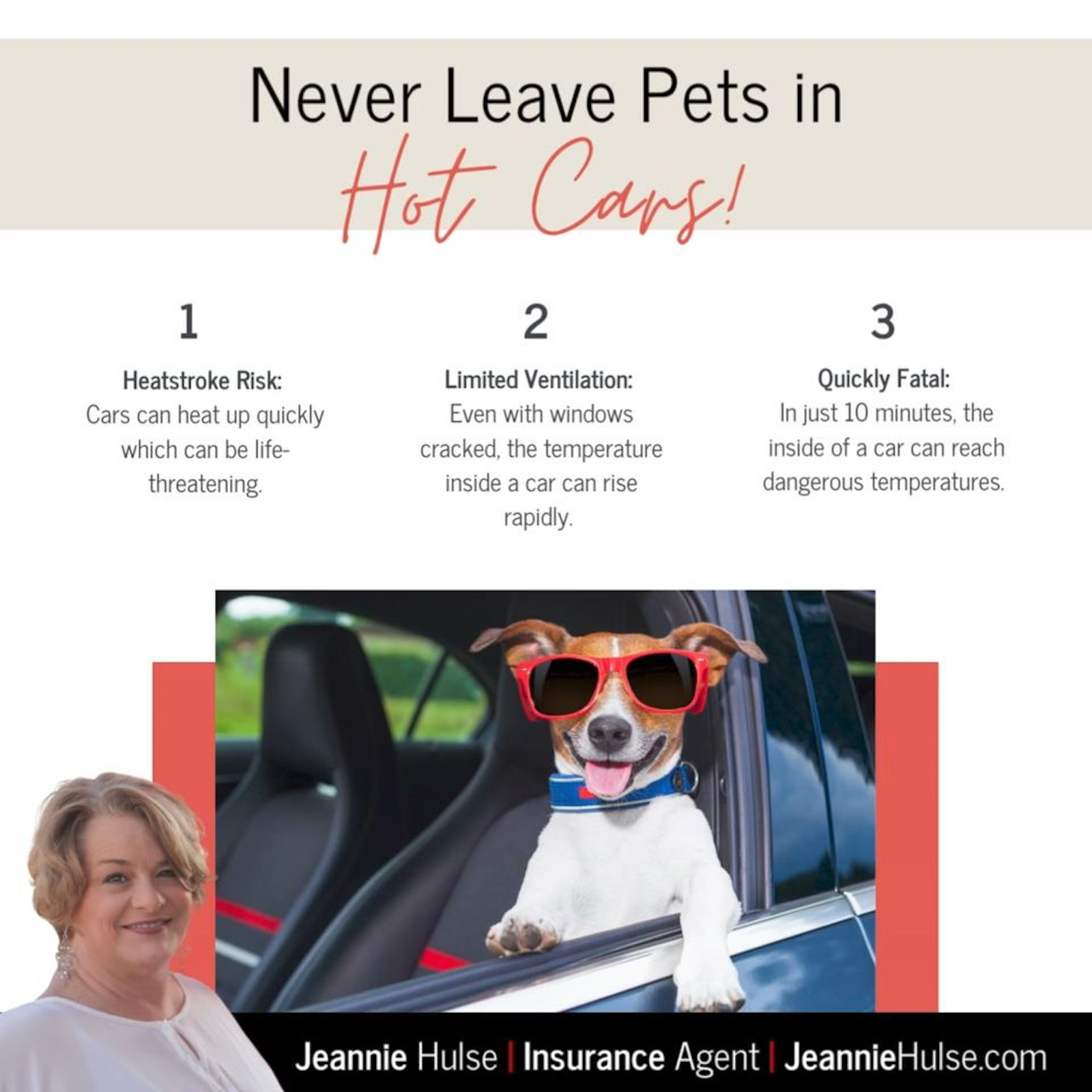 Leaving pets in a hot car can be extremely dangerous! Make sure to leave your fur-ever friends at home if you need to run errands, or ensure you are visiting dog-friendly areas to avoid leaving them in a car.