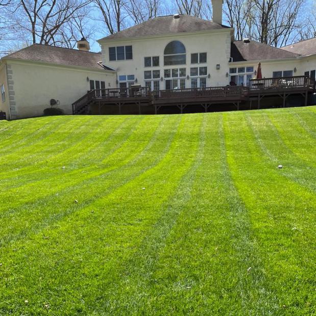 Images Mercado Lawn And Landscaping Inc