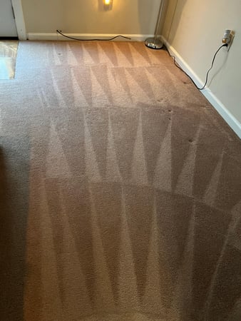 Images Premier Professional Cleaning Service