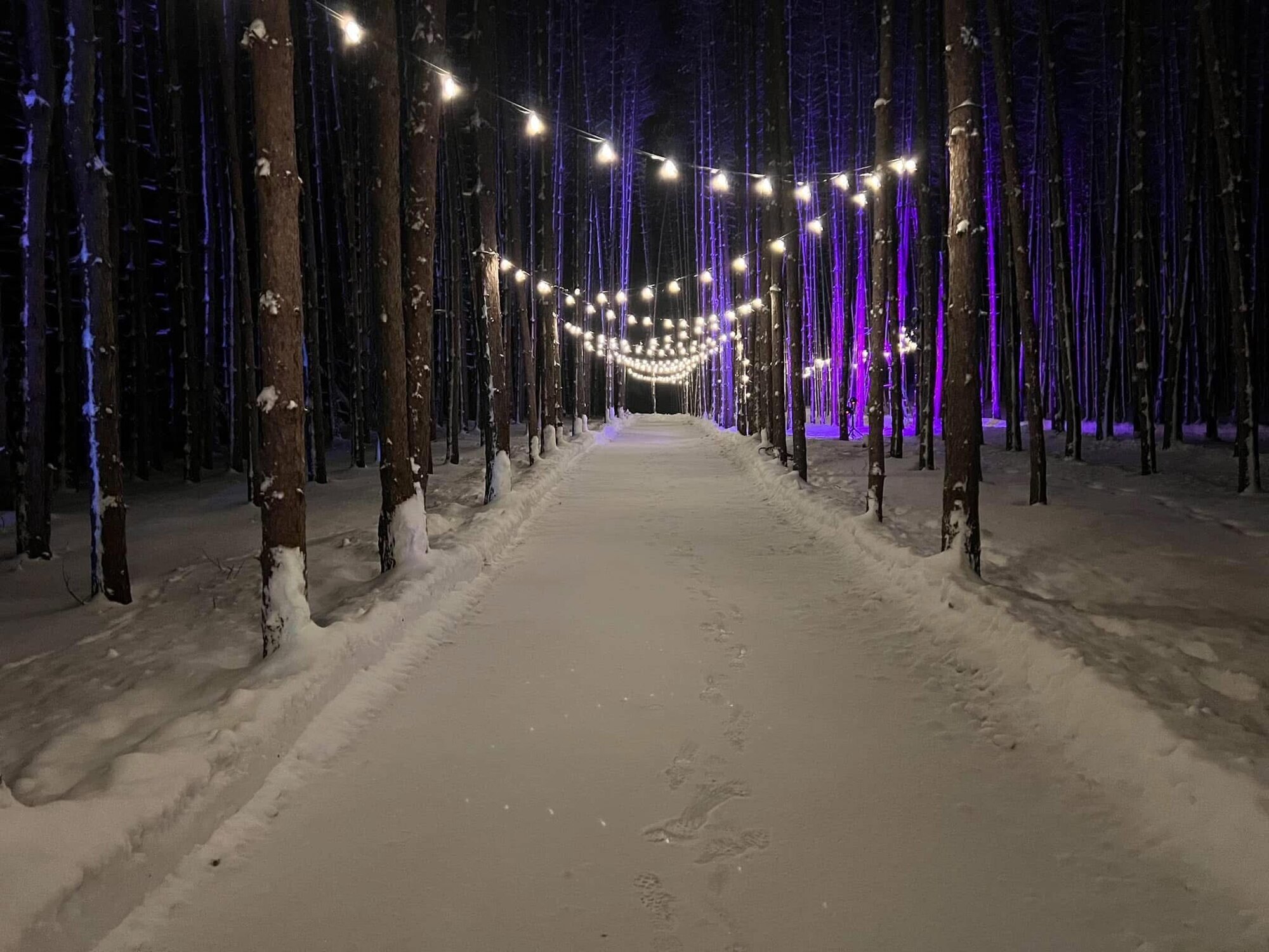 Images Expérience SK