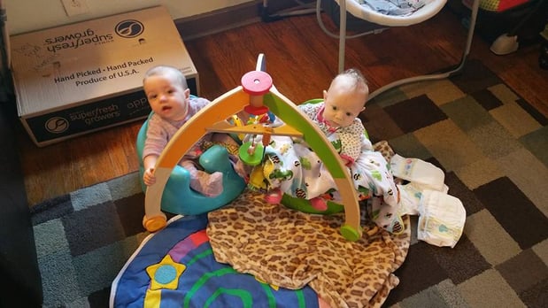 Images Panda Daycare