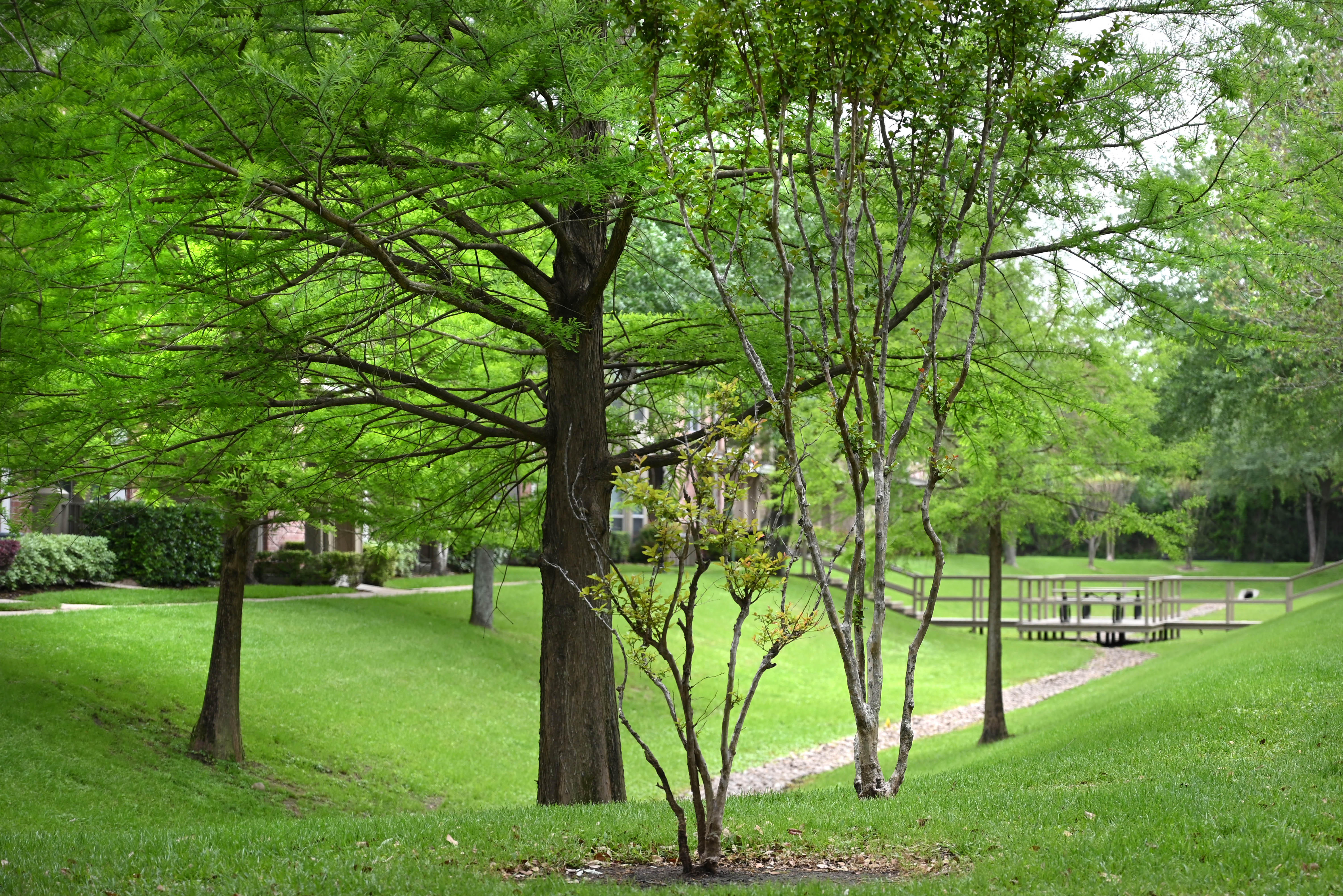 The Bellagio Apartments in Houston, TX Photo