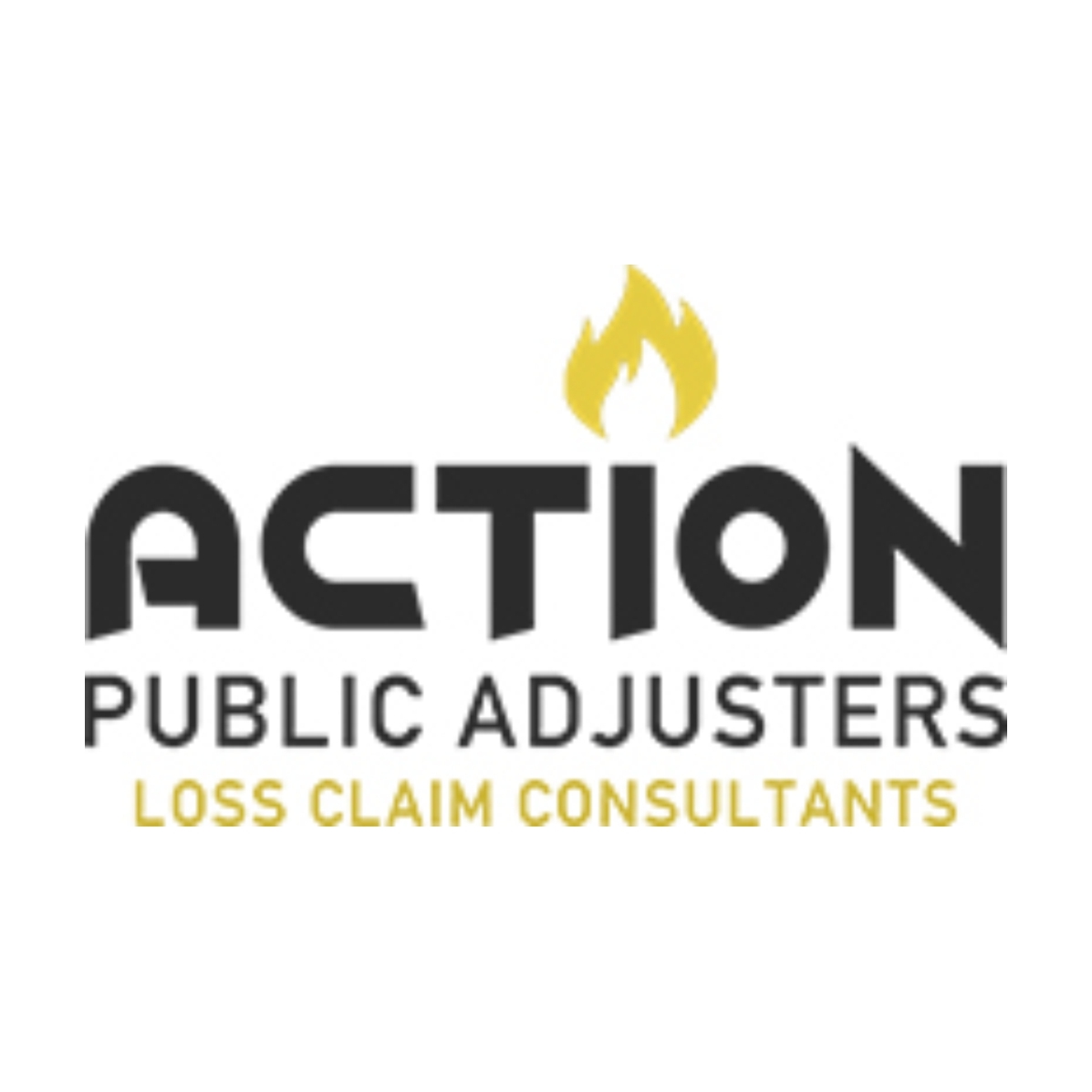 Action Public Adjusters Logo