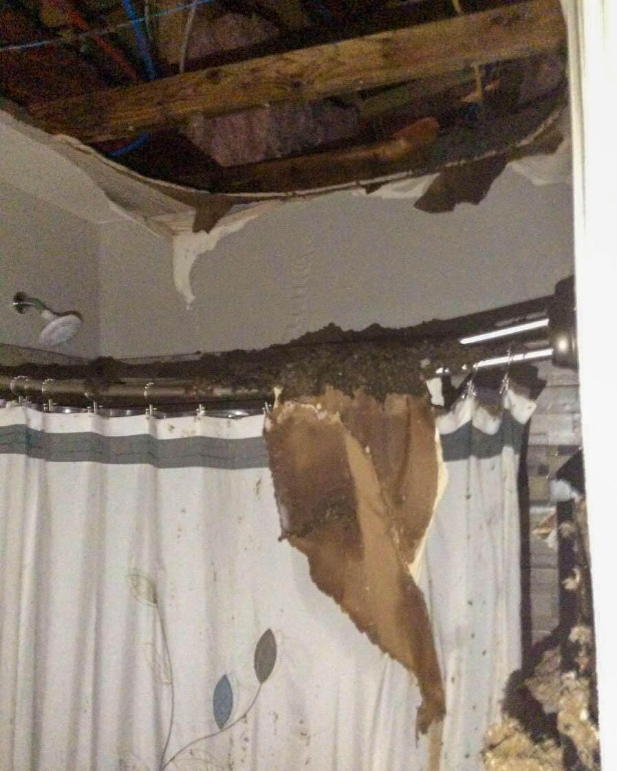 Regardless of the extent or scope of the damage, SERVPRO of Peoria West Glendale can respond quickly to your water, fire, or mold damage emergency in Weedville, AZ. We're only a phone call away from assisting you!