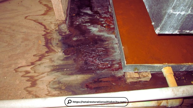 Images Water Damage Restoration Salt Lake City