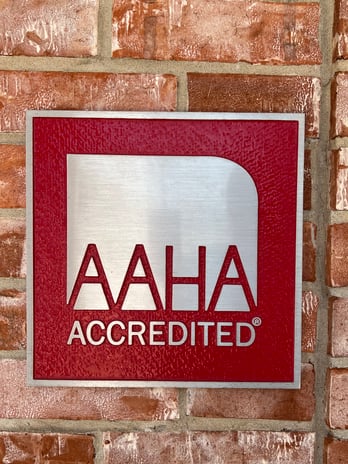 Images VCA North Plano Animal Hospital