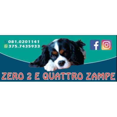 Zero 2 e Quattro Zampe - Pet Supply Store - Napoli - 375 743 5933 Italy | ShowMeLocal.com