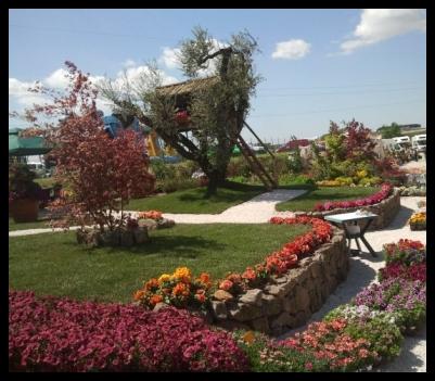 Images Giardinaggio Schibuola Renzo