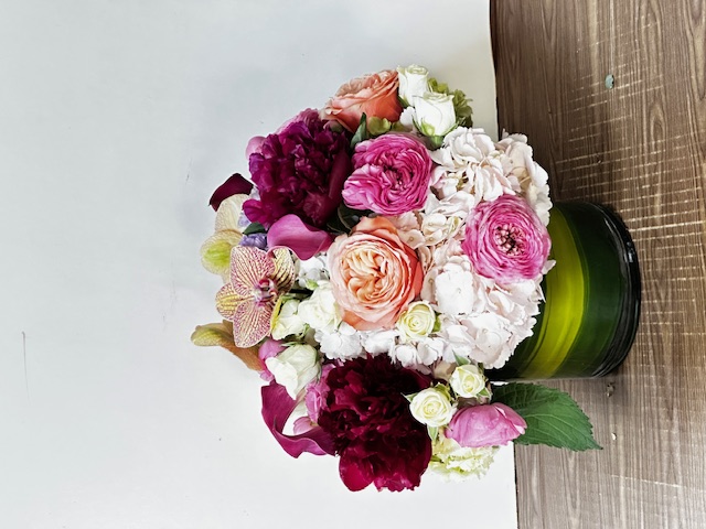 Images Jane's Roses & Flowers
