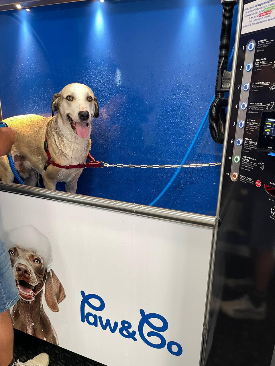 Images Paw&Go - Autolavado de perros y peluquería canina