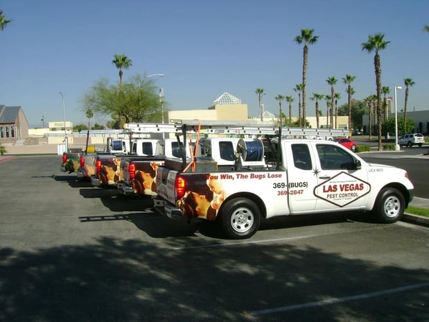 Images Las Vegas Pest Control
