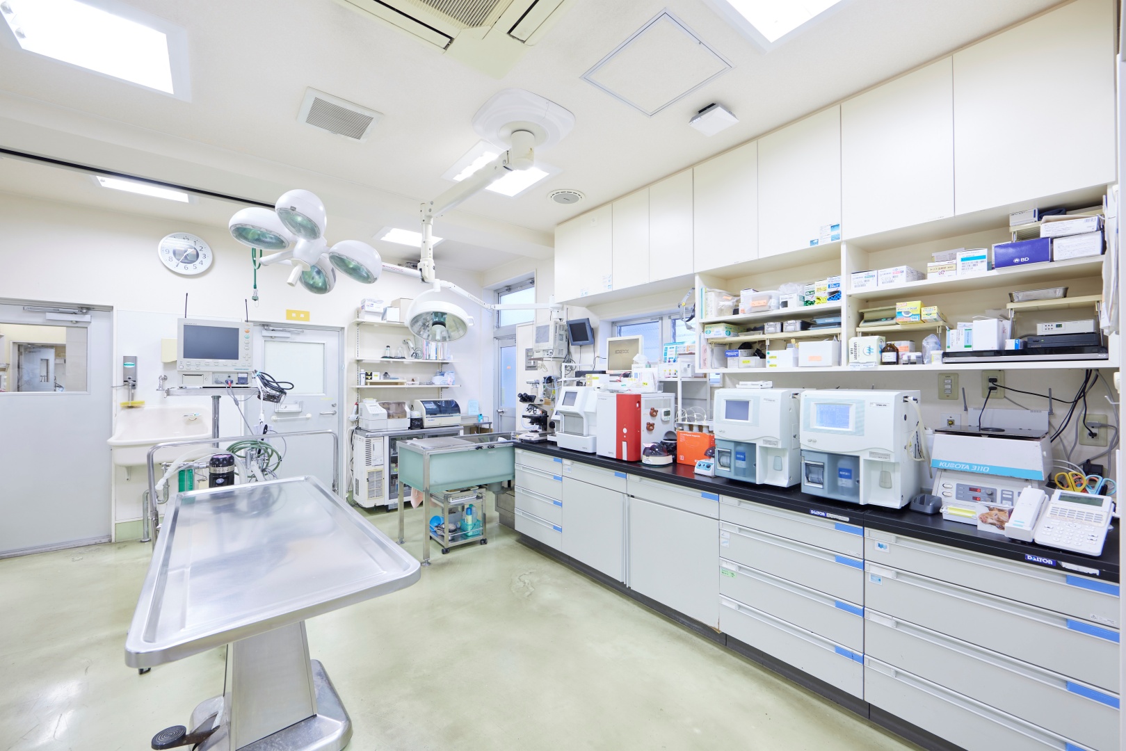 Images 江島動物病院 PAL動物病院グループ