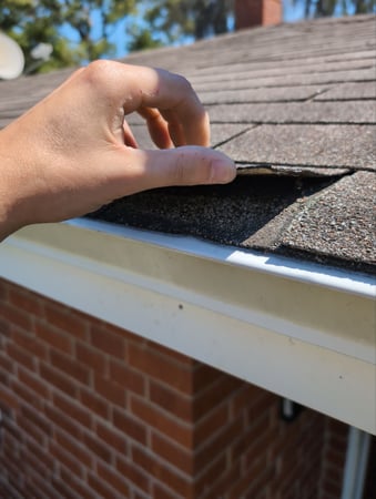 Images Roof Now
