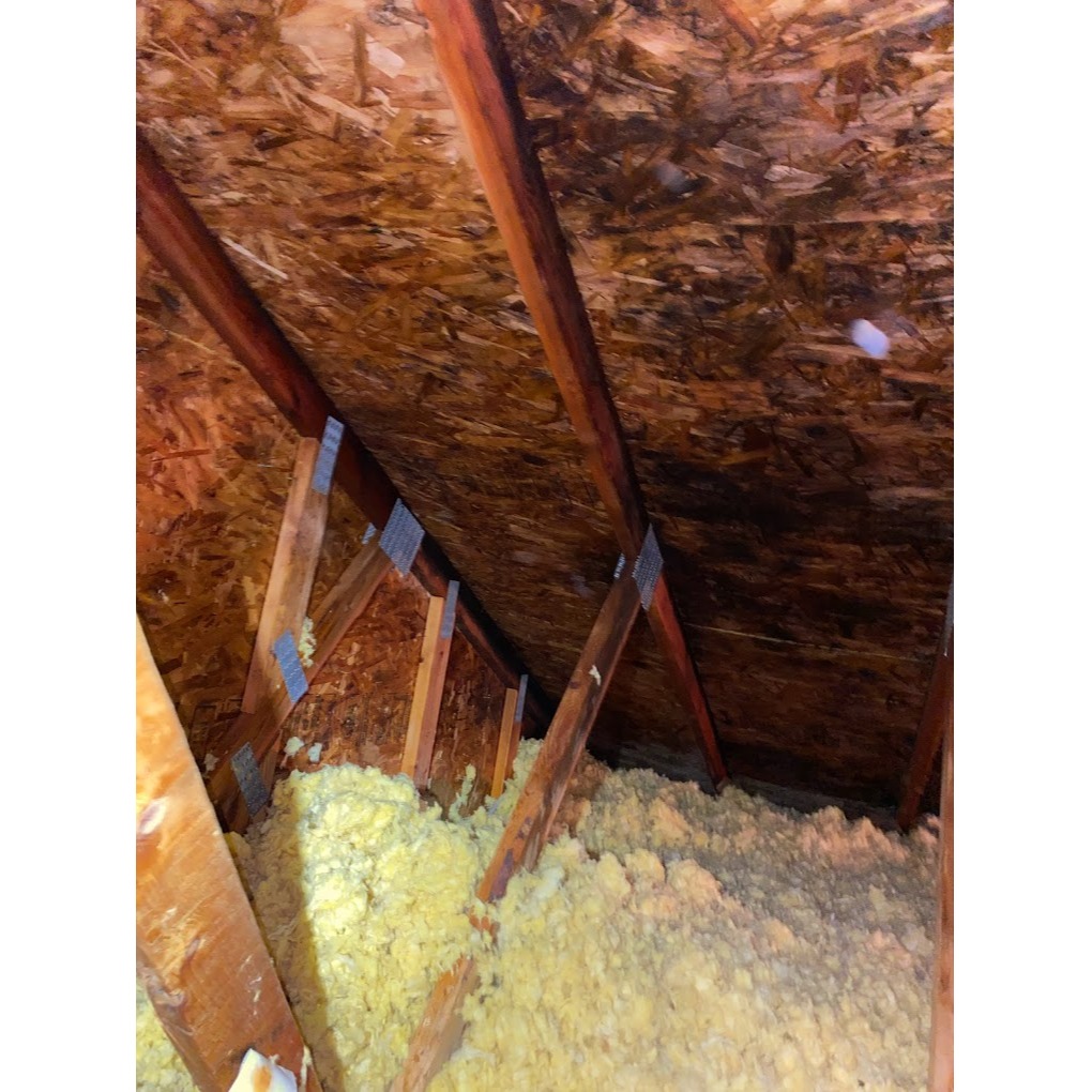 This image shows mold in this home's attic. AEI Decon will remediate and restore this home to good health.