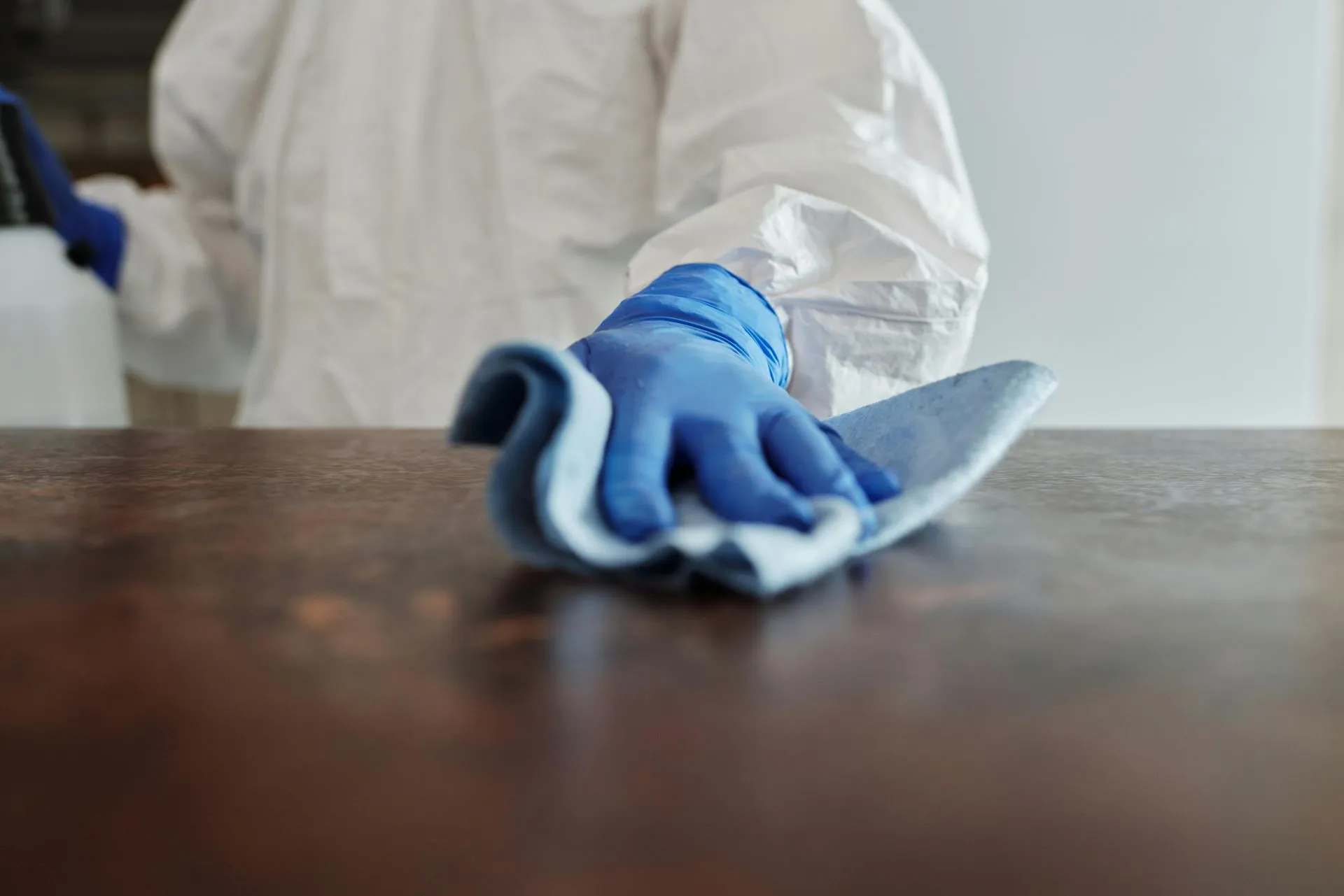 Residential and janitorial cleaning team working in a modern interior.