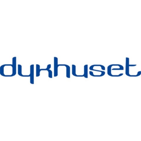 Dykhuset AB Logo