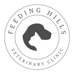 Images Feeding Hills Veterinary Clinic