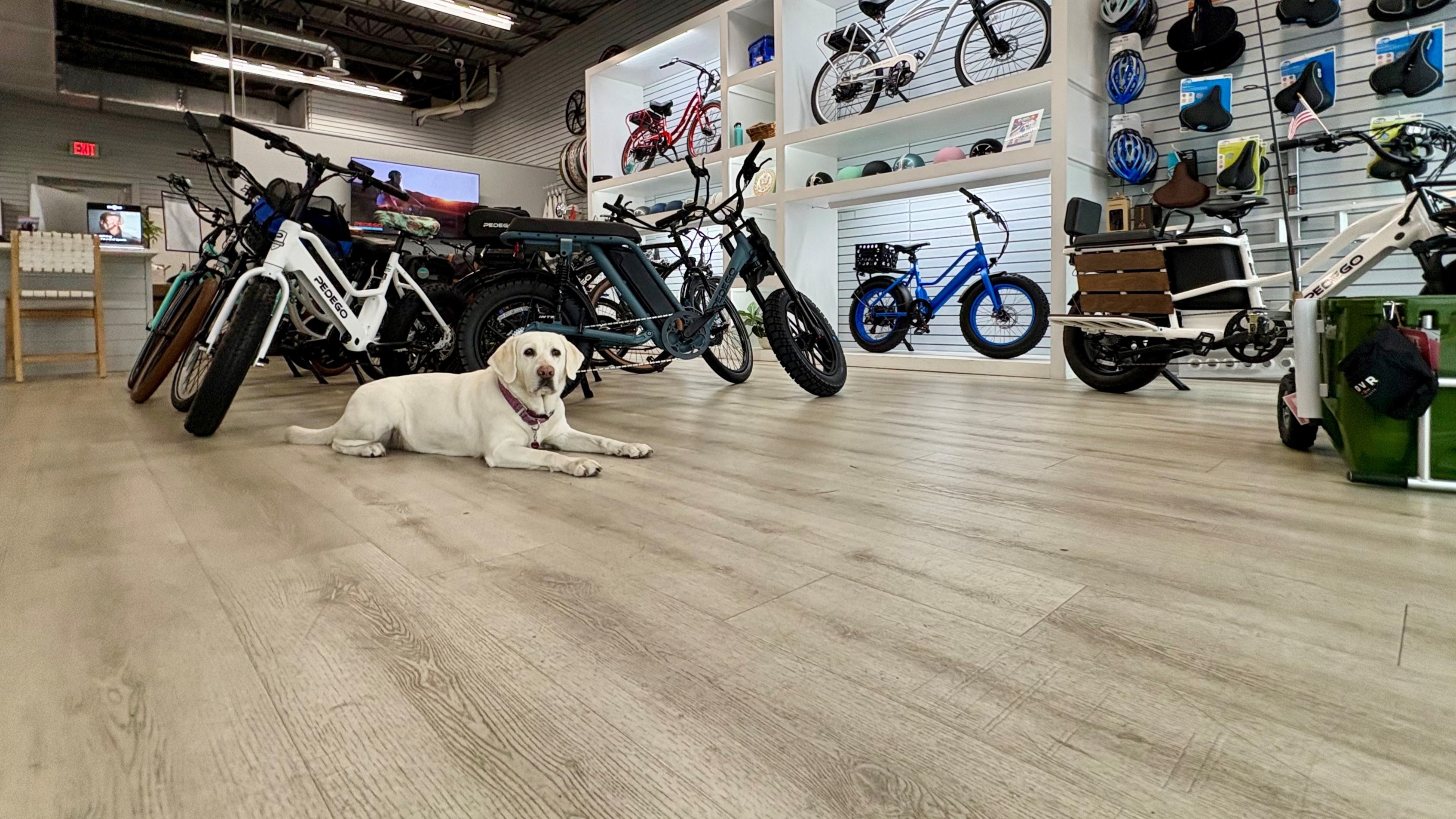 <h1>Pedego Electric Bikes New Smyrna Beach</h1> hero image