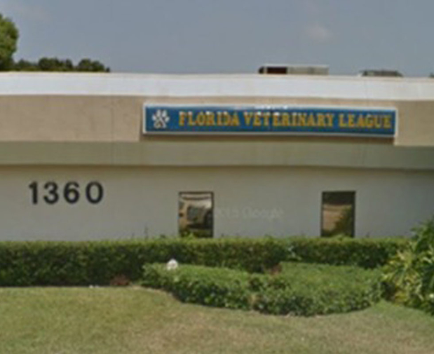 Images VCA Florida Veterinary League