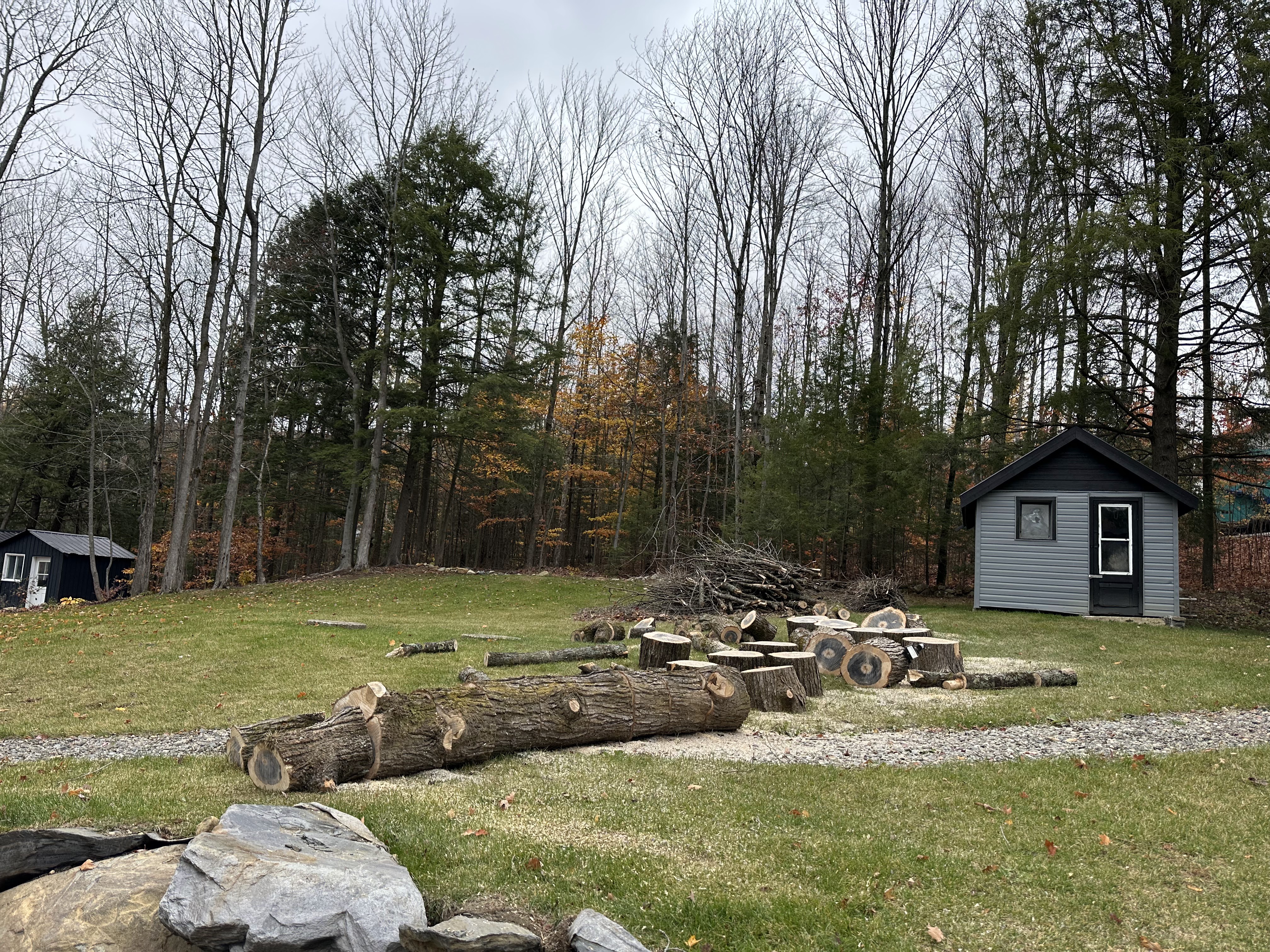 Images Altitude Abattage - Services d'arbres, Élagage, Émondage