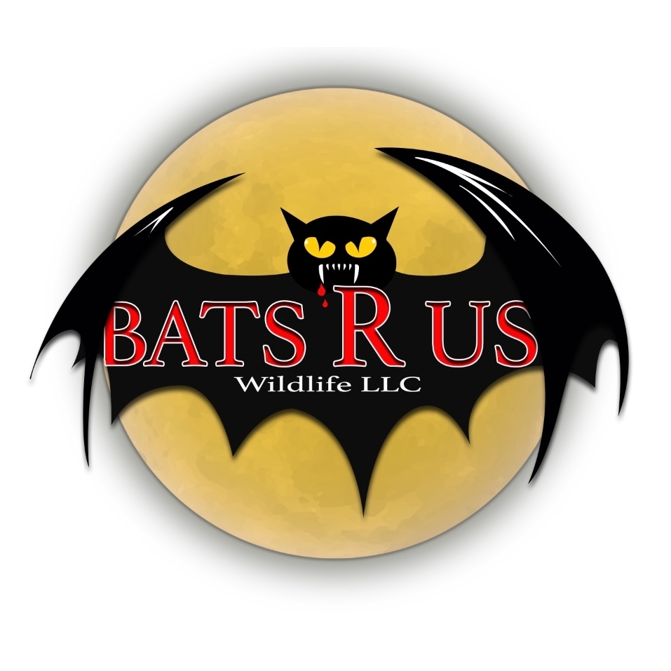 Bats R US Wildlife Removal Specialist LLC