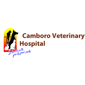 Camboro Vet Hospital
