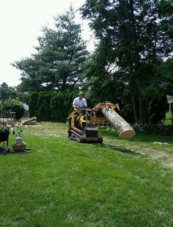 Images Shull's Tree Service-Son Inc