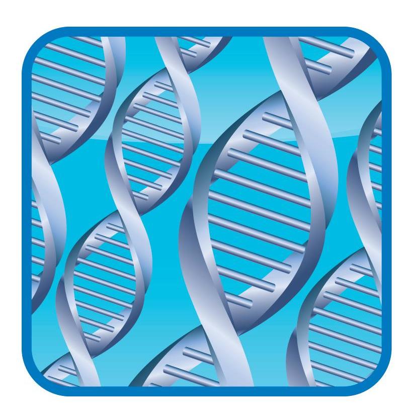 DNA Paternity Testing Centers