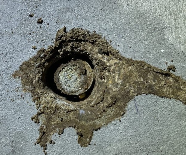 Images Assassin Pest Control